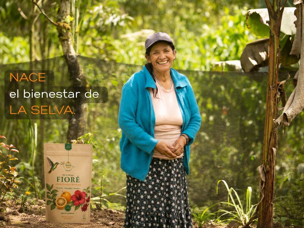 SANATÉ SANATÉ